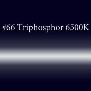 Неоновая трубка с люминофором #66 Triphosphor 6500K  TL 8мм